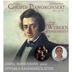 Chopin Piano Concerto No.1 in E minor Op.11 Romance Larghetto