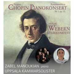 Chopin Piano Concerto No.1 in E minor Op.11 Allegro Maestoso