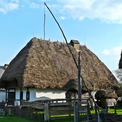 RELAX PLANETAUDIT-TOMAIMRE