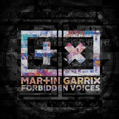 Martin Garrix Forbiden Voices (AlexiaMode Remix)