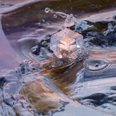 ｖｏｌ. ② (ｇｒａｂｂａ ｒａｎｋｓ  &  ｓｅｌ６)