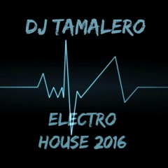 Electro House Mix - Dj Tamalero 2016 (Caution Extremely Loud)