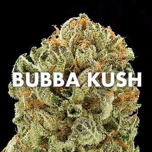 Bubba Kush ~ Vinny Skulls x Tripnotix