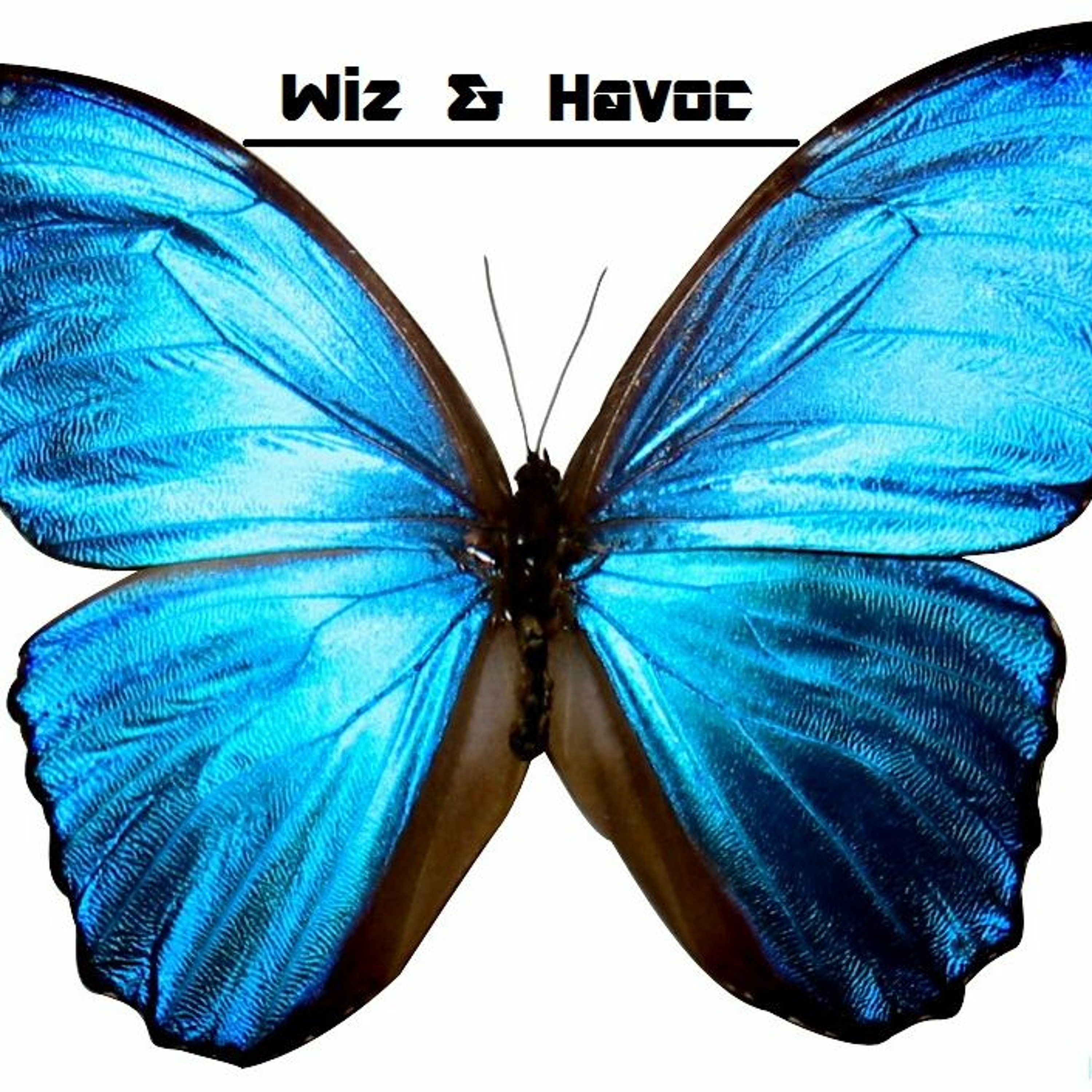 Butterfly  [FREE DOWNLOAD] episode artwork