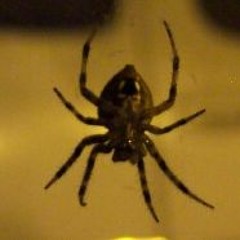 Love Is Eternal Sacred Light (Eternal Star Mix) by ebec