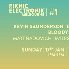 Matt Radovich DJing At Piknic Electronik Melbourne 2016 #1 With Kevin Saunderson