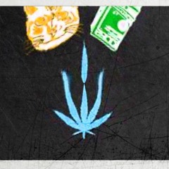 M.P.A [ Money Pussy Alcohol ]