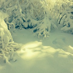 08012015 TRK4COLLAB AA - 8 1 15, raelx2013 TheDayWeMet 3.55 PM