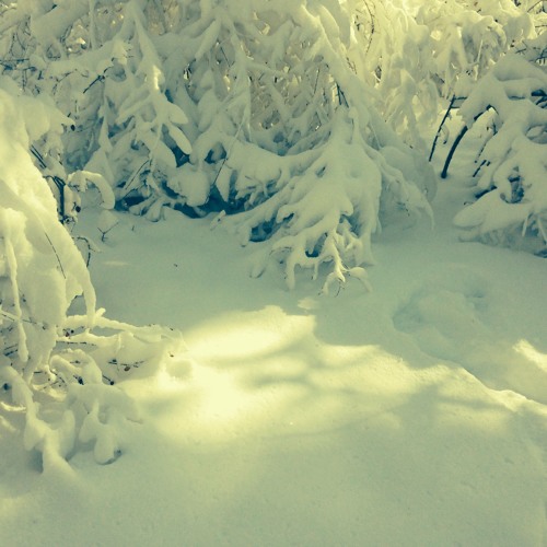 08012015 TRK4COLLAB AA - 8 1 15, raelx2013 TheDayWeMet 3.55 PM