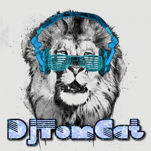 Hau5 Cat