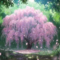 Traditional Japanese Music - Sakura Blossoms
