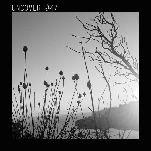 UN #47 DeepChord