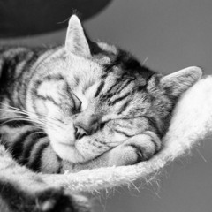 Lullaby (original composition)
