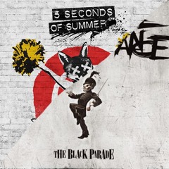 Kinda Hot Teenagers - 5SOS vs. MCR