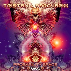 Tristan & Aardvarkk - Probability Space