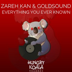 Zareh Kan & Goldsound - Everything You Ever Know (Original Mix) *Out Now*