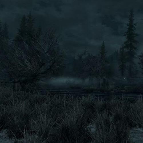 Black Marsh At Dawn