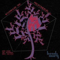 Kokenn _" Profondeur "_ Jules Wells rmx_ BoodMark 06