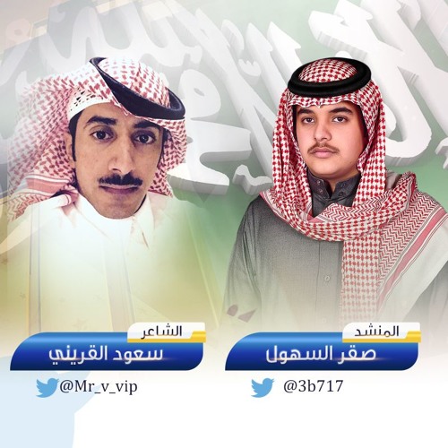 شيلة دام عزك يا وطن