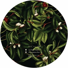 YF001 - Es-K - Late Night Coughee