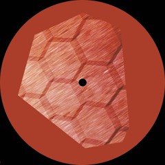 Dyad - Enclosed/Sum Null w/ Kwartz remix (DYAD002)