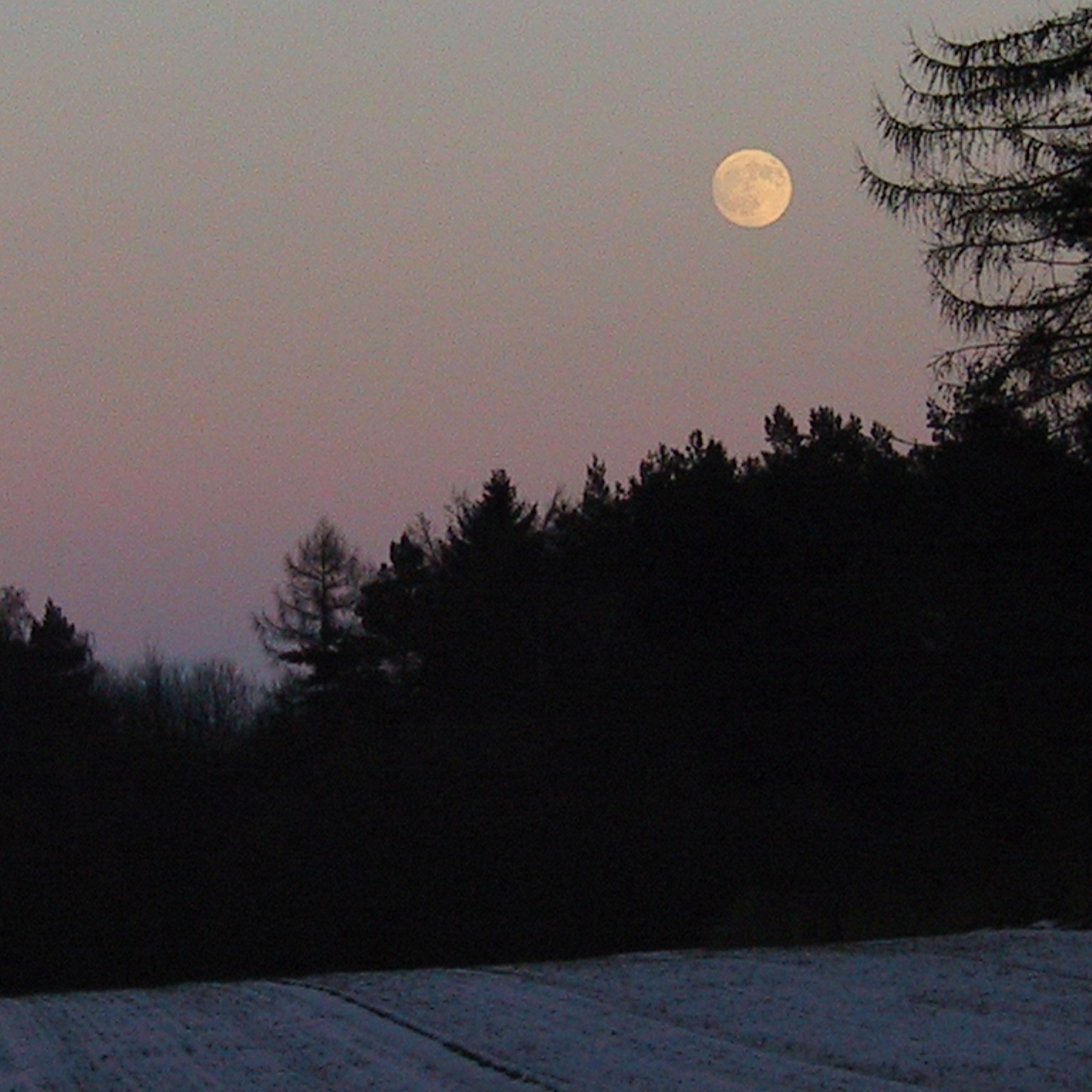 Wintermoon