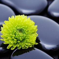 50 Shades Of Neo-Soul 01 - Selected by Uzi