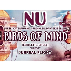 Surreal Flight warm up for NU & Birds of Mind at Do Not Sit on the Furniture, Miami Beach  01.09.16
