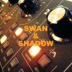 Swan & Shadow