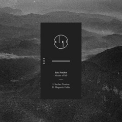 Preview - Eric Fetcher - Matrix of life - AINE 02