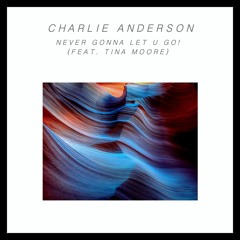 ANDRSN - Never Gonna Let U Go! (Feat. Tina Moore)