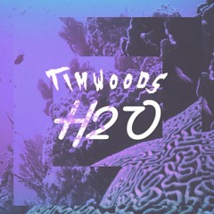 Tim Woods - H2O