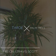 Palm Trees - P Reign ft. Travis Scott Cover