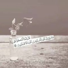 ماتيسر من سورة يوسف للشيخ ناصر القطامي