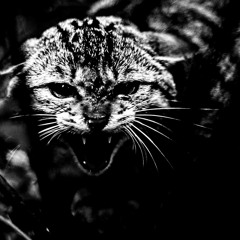 # 010 | Gleb Lasarew [Live]