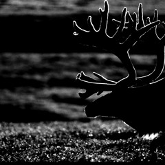 # 016 | Florian Kern