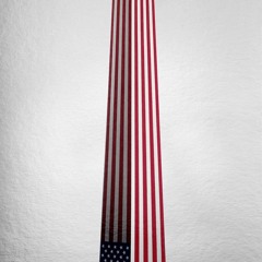 Rammstein - In Amerika (2015)