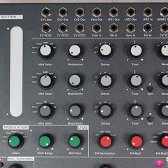 Dom1 longjam