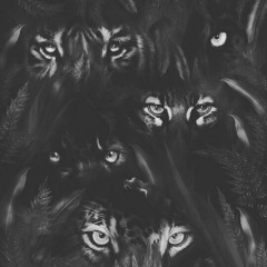 SC APEX By Spiritual Conscientious (Prod By BARK$DALEXBeatz)