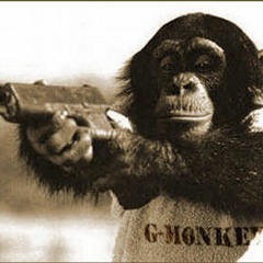 Monkey Genes - Debut CD