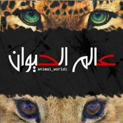 3alam El 7aywan (Revolution Records)