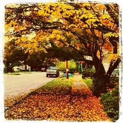 Arlington And Surrounding