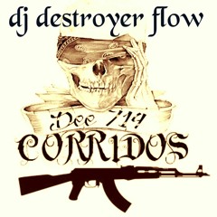 CORRIDOS PERRONES BY DJDESTROYER FLOW 20K6
