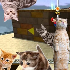 Throwback That Kitty