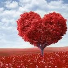 Aquela Carta - Emerson Henrique e Rafai