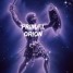 PRIM/\L- Orion