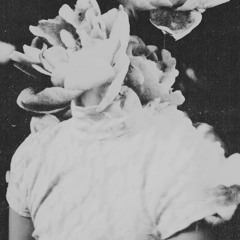 La Vie Après La Mort