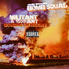 BOMBING ON NIGGAS(Larry & Josh DISS) - 808MILITANT & 1500 ANT