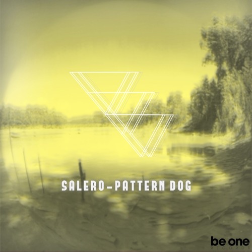 Salero - Pattern Dog (Original Mix)