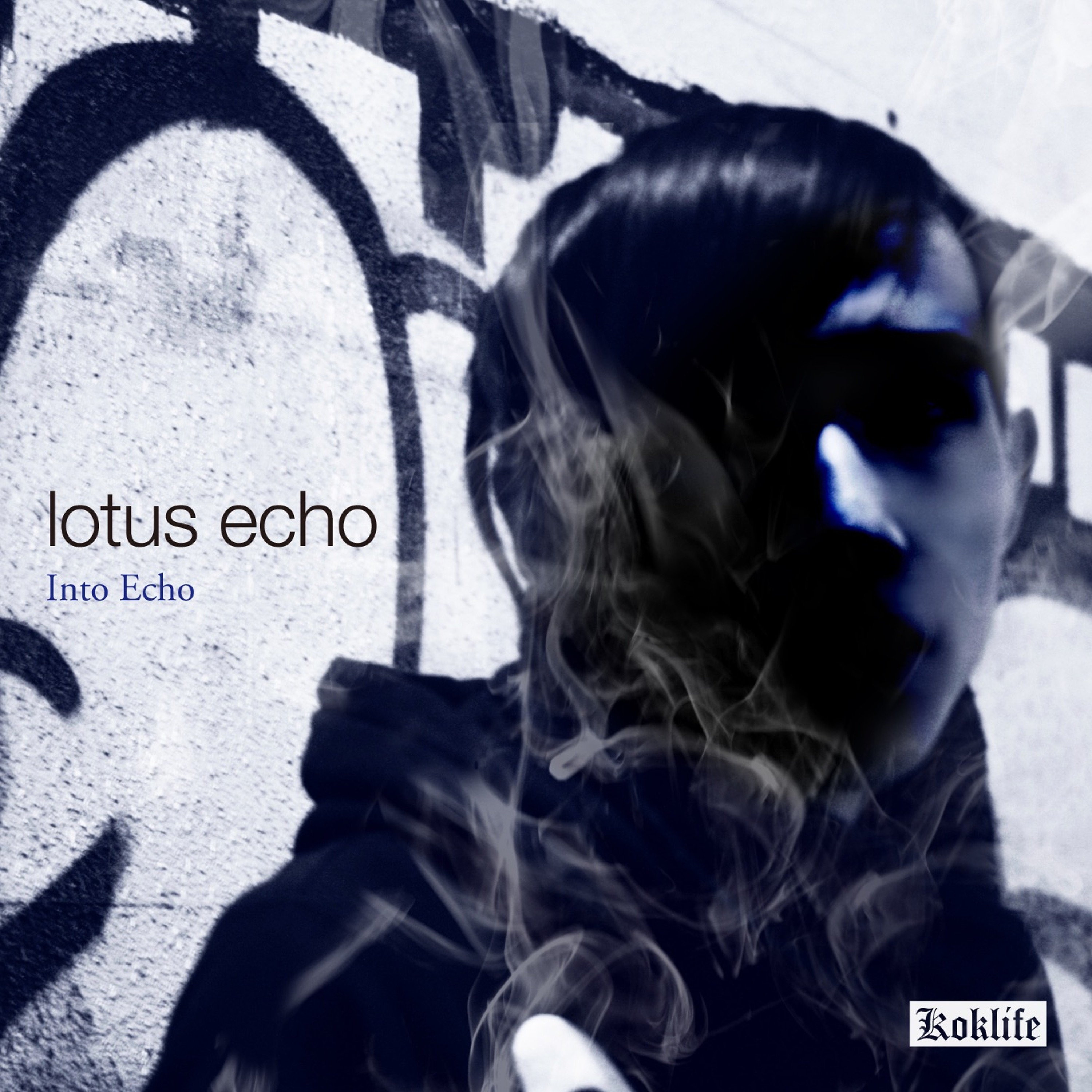 Into Echo Promo episode artwork